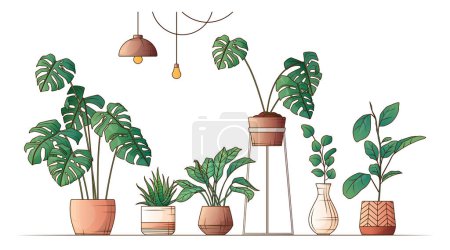 Vektorillustration von monstera, haworthia, aglaonema. Zusammensetzung verschiedener Topfpflanzen. Handgezeichnete Illustration der Ficus-Pflanze. Interieur, Blumenladen, Heimgartenkonzept.