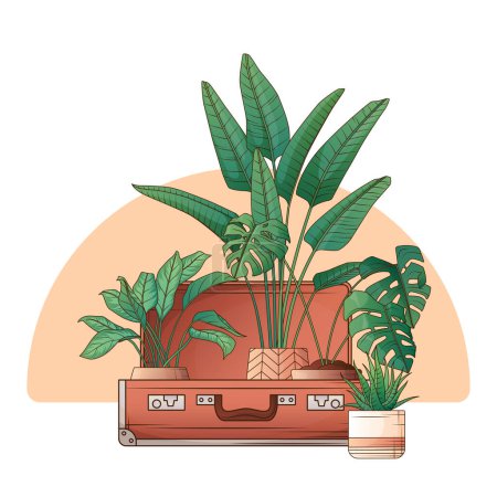 Vector illustration of suitcase with houseplants. Monstera, strelitzia, aglaonema, haworthia plant. Interior, home garden, potted plants concept.