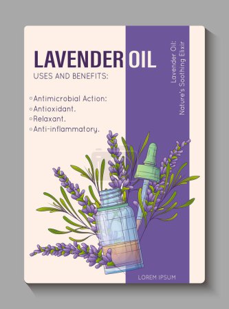 Vector-Infoplakat. Illustration einer Glasflasche mit ätherischem Öl, Tropfer, Lavendelpflanze. Hintergrunddesign für Informationskarten. Kosmetik-, Parfümerie- und Aromatherapie-Konzept.
