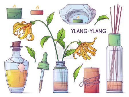 Set of vector illustration of ylang ylang essential oil. Aromatherapy elements. Glass bottle with dropper, pipette, candles, diffuser. Cosmetic, perfumery and aromatherapy concept.