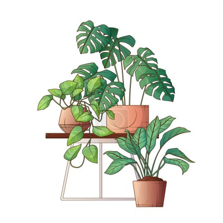 Illustration for Isolated vector illustration of monstera houseplant, potted pothos and aglaonema. Chinese evergreen plant. Home garden, potted plant, interior concept. - Royalty Free Image