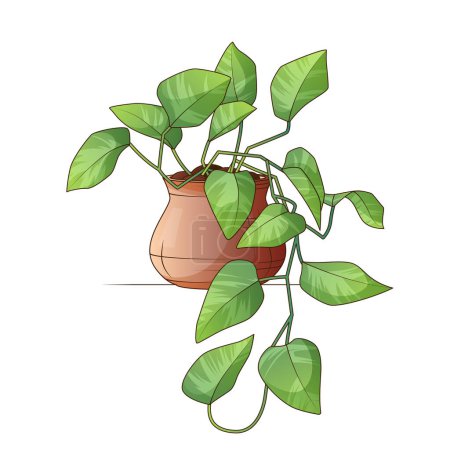 Vector illustration of potted pothos plant. Houseplant. Flower shop, home garden concept. Potted devil s ivy plant.