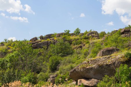 Téléchargez les photos : Vue sur le canyon Arbuzynsky est un canyon près du village Trykraty, sur la rivière Arbuzynka dans la région Voznesenskyi de l'oblast de Mykolaiv en Ukraine - en image libre de droit