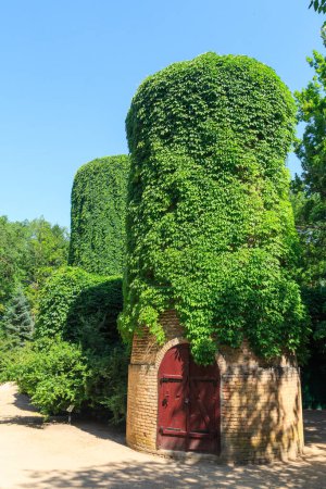 Photo for Ivy on the tower in n the dendrological garden of the unique Askania Nova reserve. Kherson region. Ukraine - Royalty Free Image
