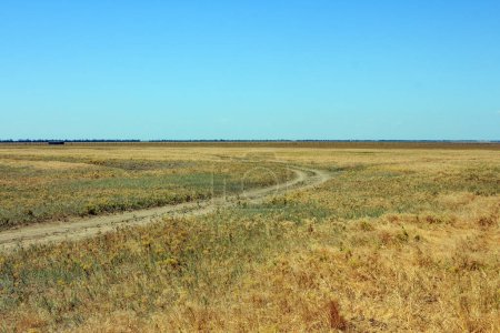 A view of the Ukrainian steppe on the territory of the national nature reserve "Askania Nova". Kherson region, Ukraine