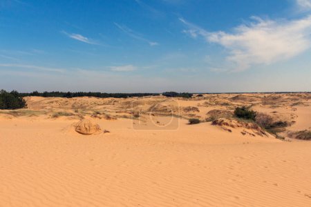 Photo for View of the Oleshkiv sands - the Ukrainian desert near the city of Kherson. Ukraine - Royalty Free Image