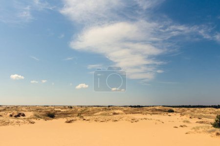 Téléchargez les photos : Vue sur les sables d'Oleshkiv - le désert ukrainien près de la ville de Kherson. Ukraine - en image libre de droit