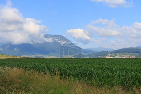 Photo for View of a field and mountains in the Transylvania region. Romania - Royalty Free Image