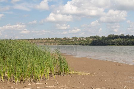 The sandy bank of the Dniester river. Ukraine
