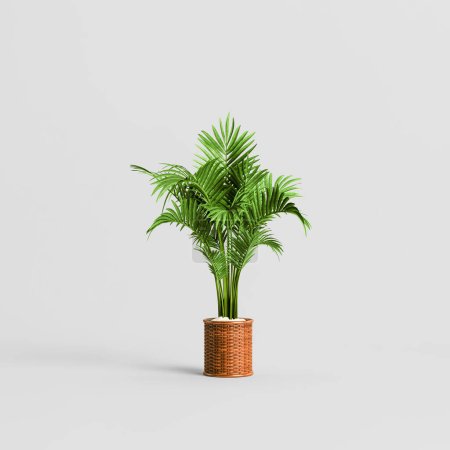 Téléchargez les photos : Illustration 3D de palmier en pot isolé sur fond blanc - en image libre de droit