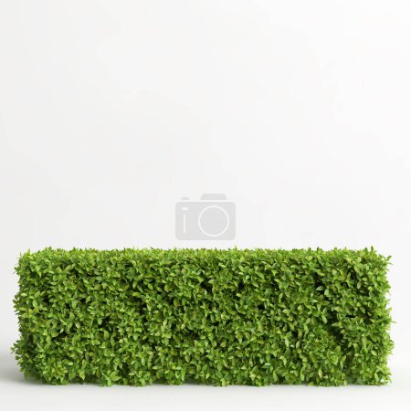 Photo for 3d illustration of fence bush isolated on white background - Royalty Free Image