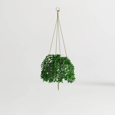 Foto de 3d illustration of hanging plant isolated on white background - Imagen libre de derechos