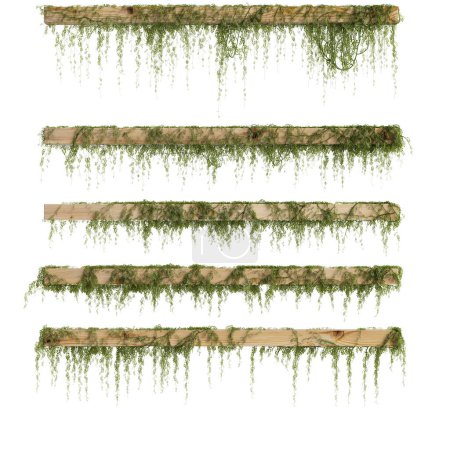 Photo for 3d illustration of set hanging ivy isolated on white background - Royalty Free Image