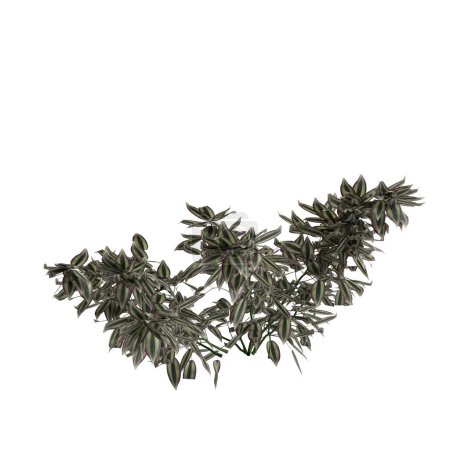 Photo for 3d illustration of shrubs isolated on white background - Royalty Free Image