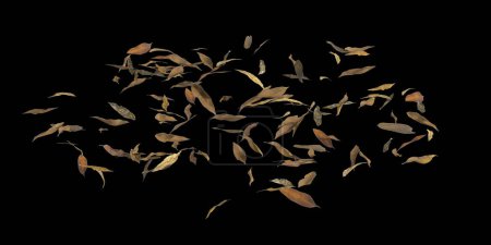 Foto de 3d ilustración de hojas secas aisladas sobre fondo negro ojos vista humana - Imagen libre de derechos