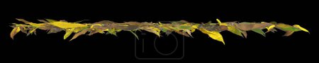 Foto de 3d ilustración de hojas secas aisladas sobre fondo negro - Imagen libre de derechos
