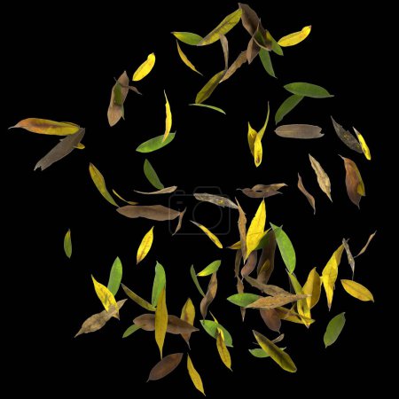 Foto de Ilustración 3d de hojas secas aisladas sobre fondo negro vista superior - Imagen libre de derechos