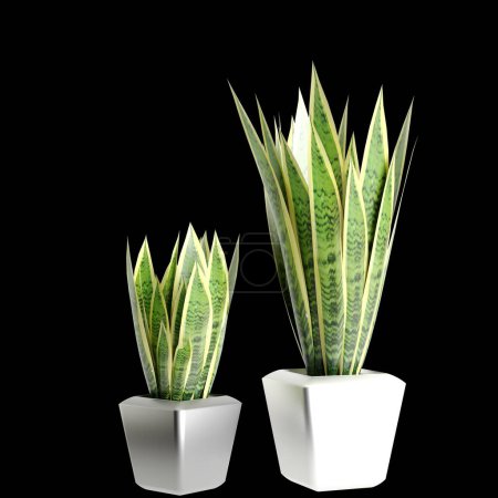 Téléchargez les photos : Illustration 3D de plantes d'intérieur isolées sur fond noir - en image libre de droit