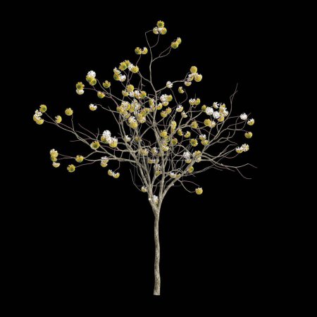 Ilustración 3d de la floración de Edgeworthia aislada sobre fondo negro
