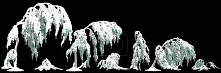 3d Illustration des Satzes Cedrus atlantica Glauca Pendula schneebedeckter Baum isoliert auf schwarzem Hintergrund