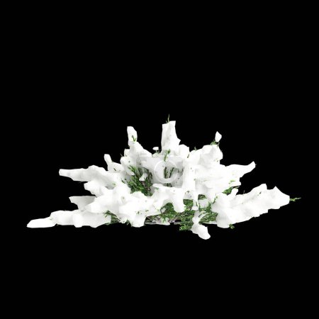 3d illustration of Juniperus sabina snow covered tree isolated on black background