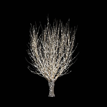 3D-Illustration von Salix caprea schneebedeckter Baum isoliert auf schwarzem Hintergrund