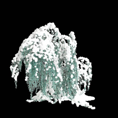 Illustration 3D de Cedrus atlantica Glauca Pendula arbre enneigé isolé sur fond noir