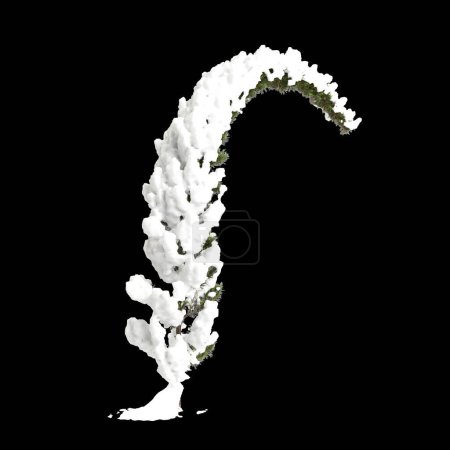 Illustration 3D de Cupressus sempervirens arbre couvert de neige isolé sur fond noir
