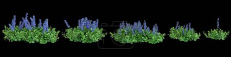 3D-Illustration des Ajuga-Reptilienbusch isoliert auf schwarzem Hintergrund