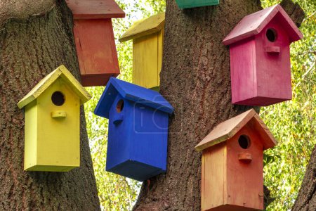 Multicolored Birdhouses.Colored nesting box. Colorful Bird Houses. Houses for birds. Lodges for a wintering of bird