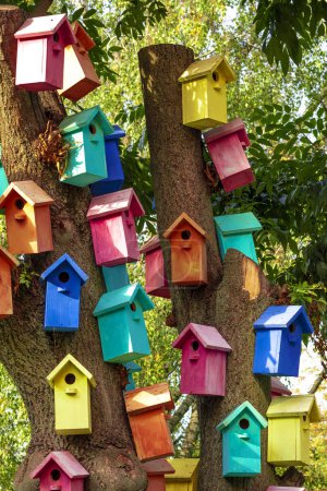Photo for Multicolored Birdhouses.Colored nesting box. Colorful Bird Houses. Houses for birds on a tre - Royalty Free Image