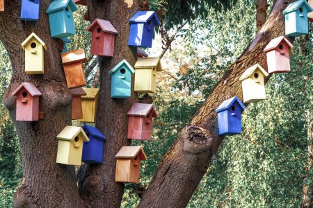 Multicolored Birdhouses.Colored nesting box. Colorful Bird Houses. Houses for birds on a tre