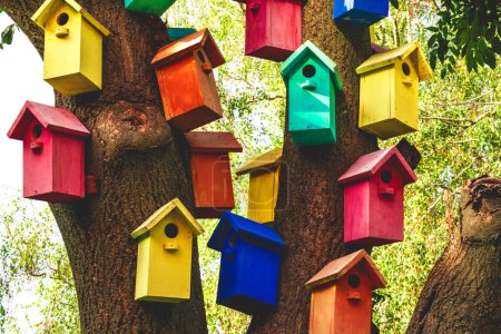 Photo for Multicolored Birdhouses.Colored nesting box. Colorful Bird Houses. Houses for birds. Lodges for a wintering of bird - Royalty Free Image
