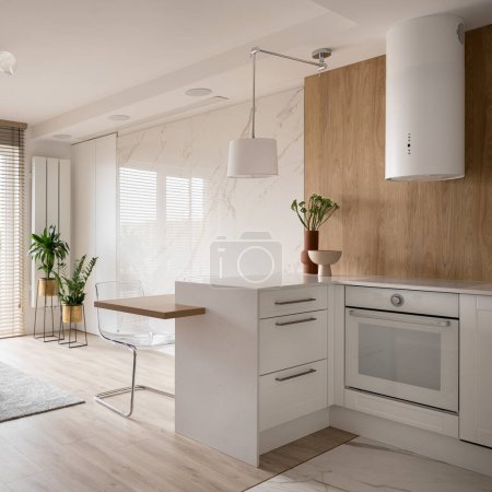Small and stylish kitchen with white furniture, oven, lamp and kitchen hood open to room with marble wall, carpet and plants