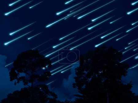 Foto de Meteor on the night sky dark cloud and silhouette tree in tropic forest - Imagen libre de derechos