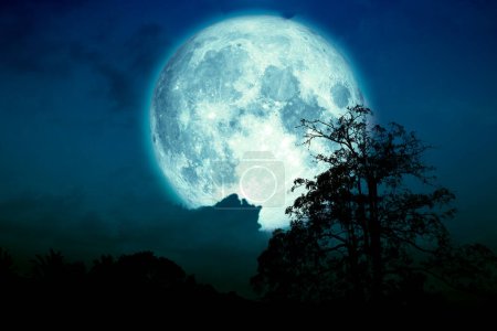 Super blue strawberry moon back on cloud and tree in the field and night sky, Elements of this image furnished by NASA