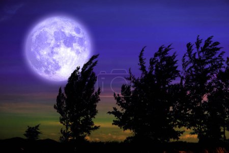 Téléchargez les photos : Pleine lune ver et arbre silhouette dans le champ et le ciel nocturne, éléments de cette image fournie par la NASA - en image libre de droit