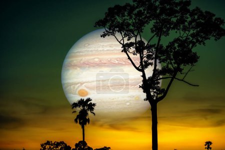 Júpiter entre el árbol de silueta superior y el cielo amarillo azulado y la nube, elementos de esta imagen proporcionados por la NASA