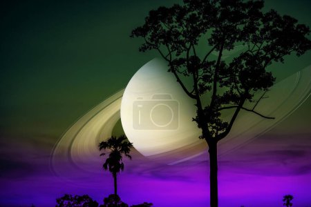 Saturn and silhouette tree and sunset dark purple sky, Elements of this image furnished by NASA