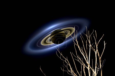 Saturn zurück trockener Astbaum dunkelblauer Nachthimmel