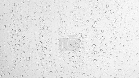 Gotas de lluvia sobre un paño transparente. Muchas gotas de agua sobre un fondo transparente. Condensación en el invernadero, alta humedad