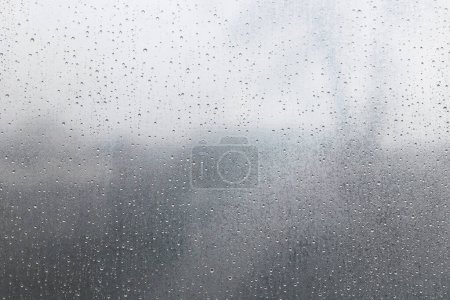 Gotas de lluvia sobre un paño transparente. Muchas gotas de agua sobre un fondo transparente. Condensación en el invernadero, alta humedad