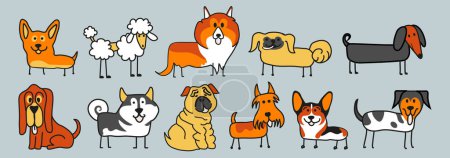 Téléchargez les illustrations : Modèle d'illustration de nombreux chiens différents. Illustration vectorielle, Danois, chien de berger, aigle, bessenger, bichon, corgi gallois. - en licence libre de droit