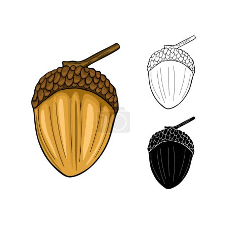 Téléchargez les illustrations : Acorn, oak nut, seed. Cartoon flat style. Vector illustration - en licence libre de droit