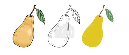 Photo for Yellow pear fruit icon isolated on white background - Royalty Free Image
