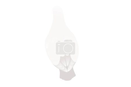 Téléchargez les illustrations : Pigeon blanc colombe oiseau symbole de paix vecteur illustration dessin animé animal conception isolé sur fond blanc. - en licence libre de droit