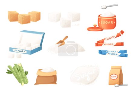 Conjunto de azúcar en diferentes estados cubos arena caña vector ilustración aislado sobre fondo blanco.