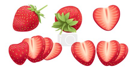 Téléchargez les illustrations : Set of Red natural fresh strawberry sweet tasty whole and sliced berry vector illustration isolated on white background. - en licence libre de droit