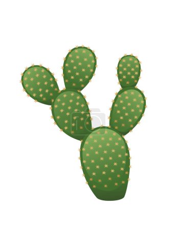 Green exotic desert cactus with thorns decorative plant vector illustration isolated on white background.