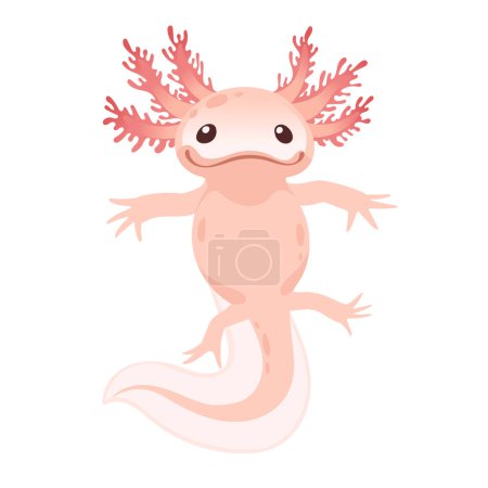 Netter Cartoon axolotl rosa Farbe Amphibien Tier Vektor Illustration isoliert auf weißem Hintergrund.